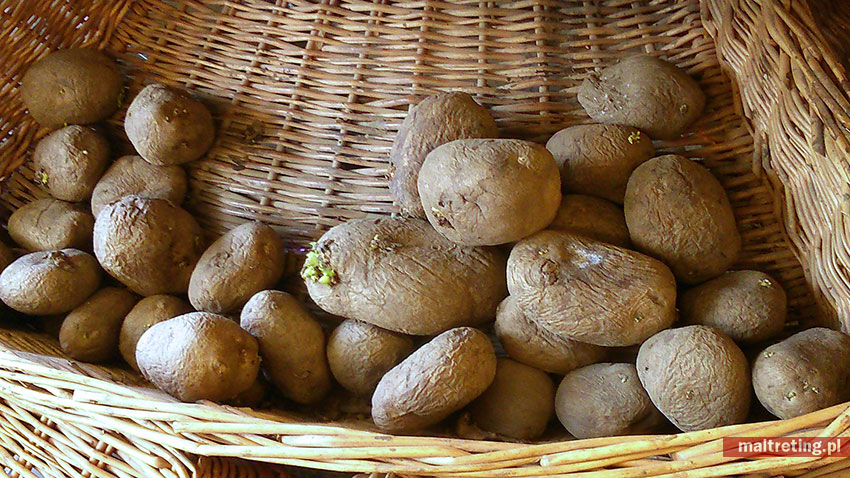 freshmarket ziemniaki